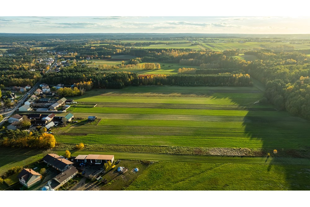 Dom wolnostojący - Sprzedaż - Toporów, Polska - 1 (12).jpg - 810251052-72