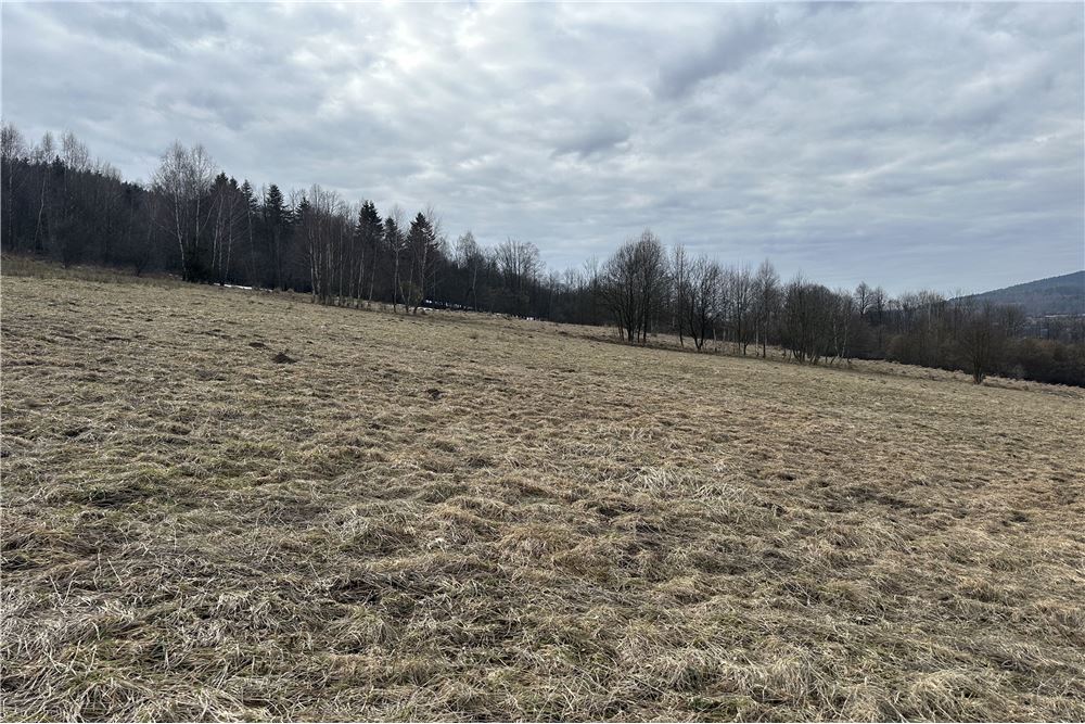 Działka budowlana - Sprzedaż - Las, Polska - 50 - 800061103-198