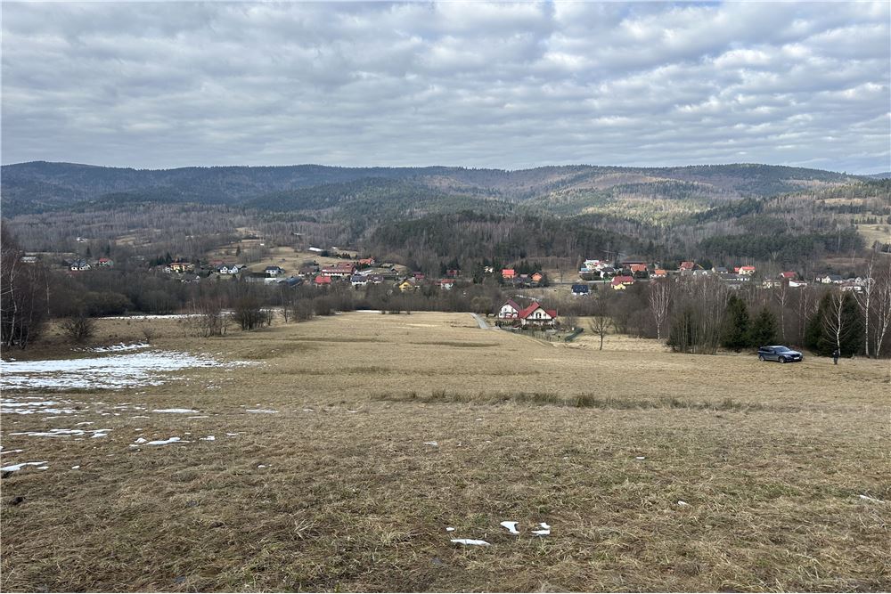 Działka budowlana - Sprzedaż - Las, Polska - 10 - 800061103-198