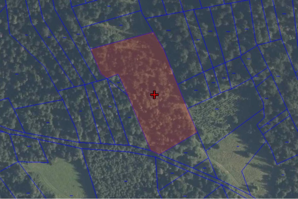 Działka - Sprzedaż - Podwilk, Polska - 3.jpg - 800091045-39