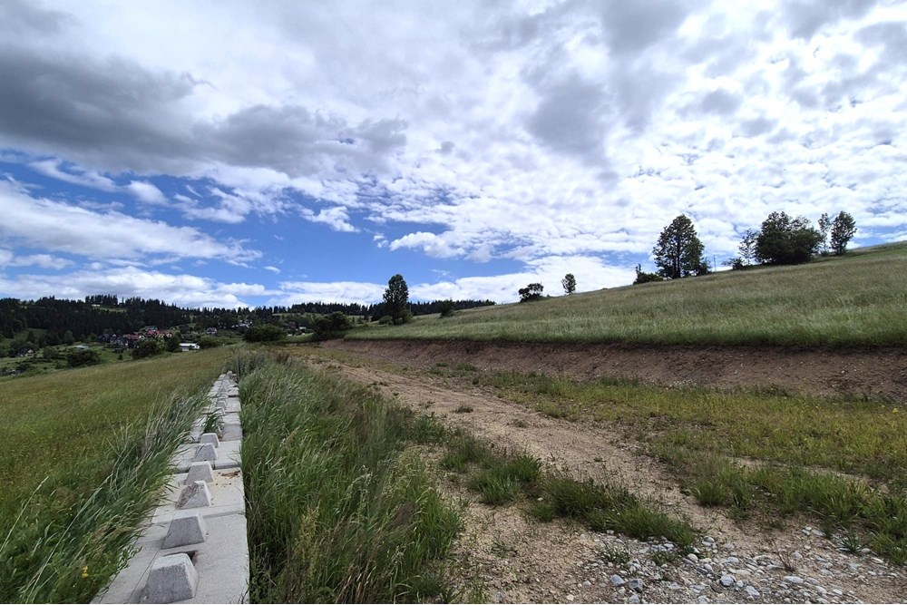 Działka - Sprzedaż - Rzepiska, Polska - Artur Zajac (3).jpg - 800091026-78