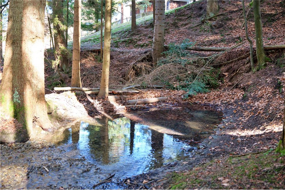 Dom wolnostojący - Sprzedaż - Pewel Ślemieńska, Polska - 71 - 800061016-1147