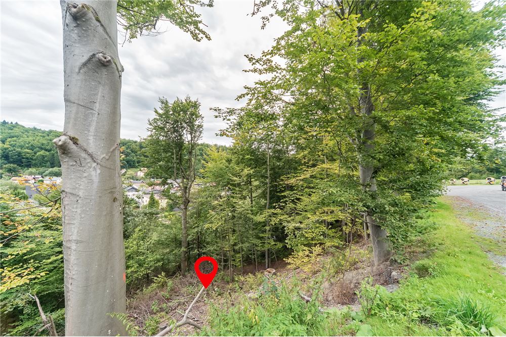 Nieruchomość gruntowa - Sprzedaż - Wisła, Polska - 18 - 800061076-427