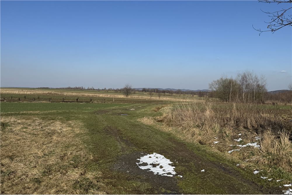 Działka - Sprzedaż - Chocznia, Polska - 1 - 800061100-79