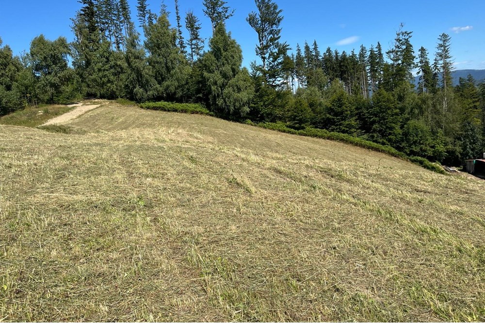 Działka - Sprzedaż - Wisła, Polska - jaworm4.jpg - 470131058-373