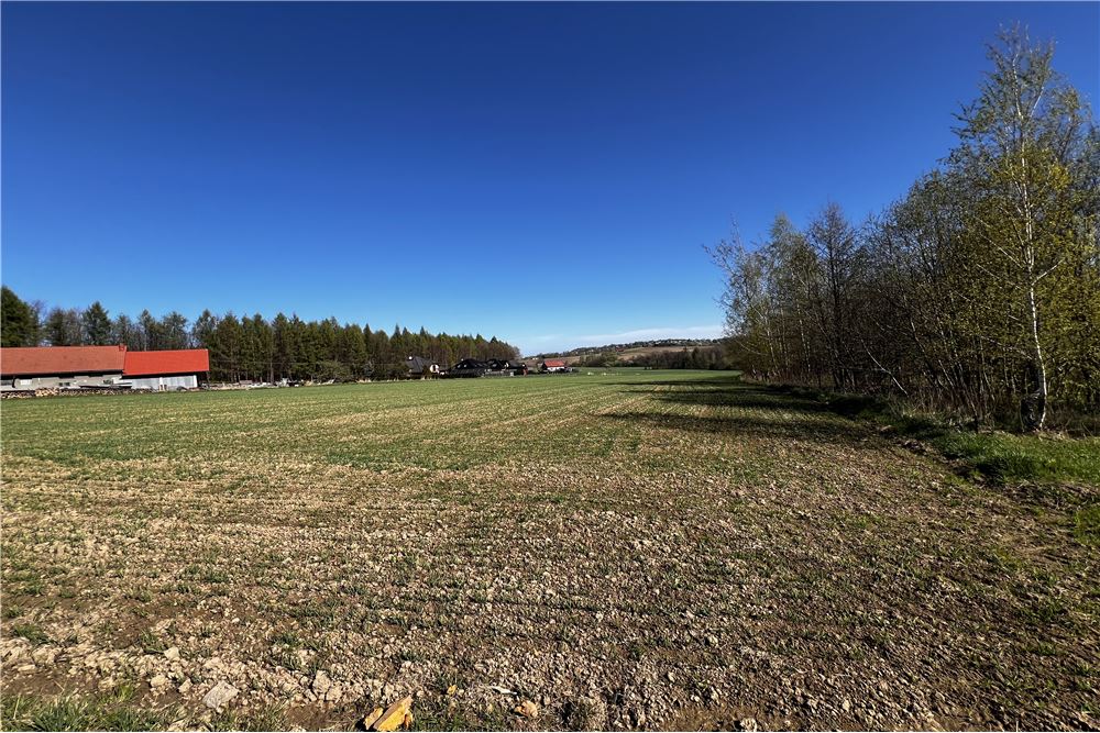 Działka - Sprzedaż - Pogórze, Polska - 3 - 800061117-26