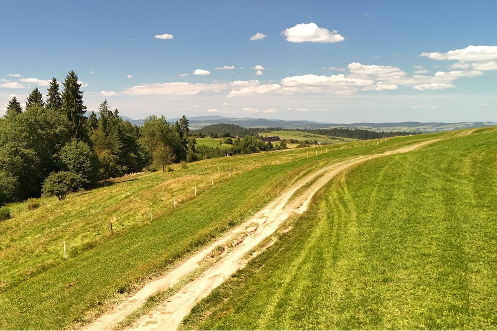 Działka - Sprzedaż - Leśnica, Polska - agent nieruchomosci zajac (7).jpg - 800091026-81