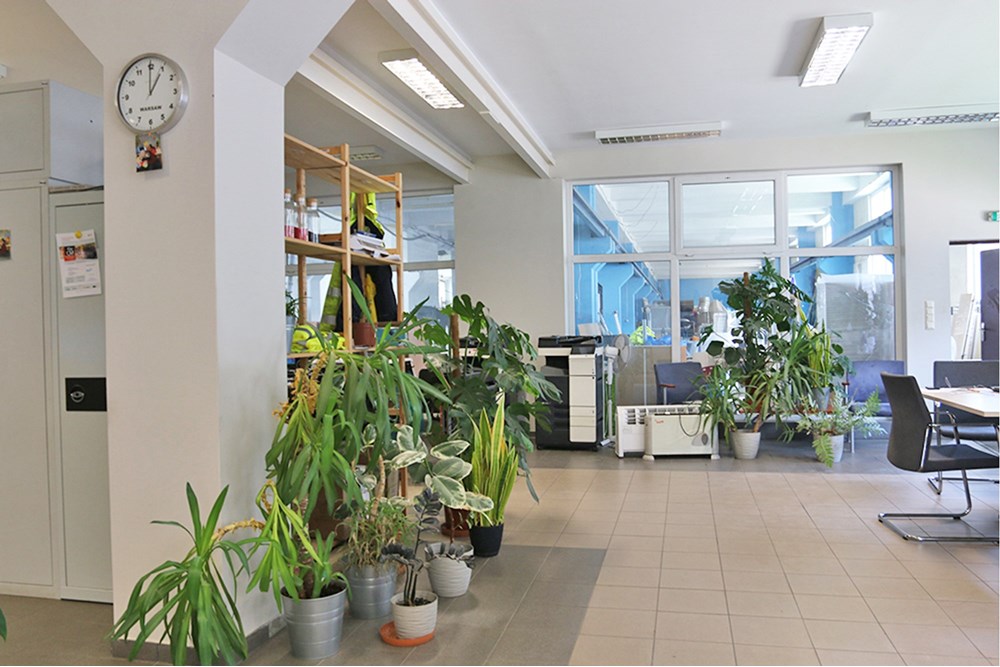 Nieruchomość przemysłowa - Sprzedaż - Bytom, Polska - Bytom Budynek i działka (6).JPG - 800041074-12