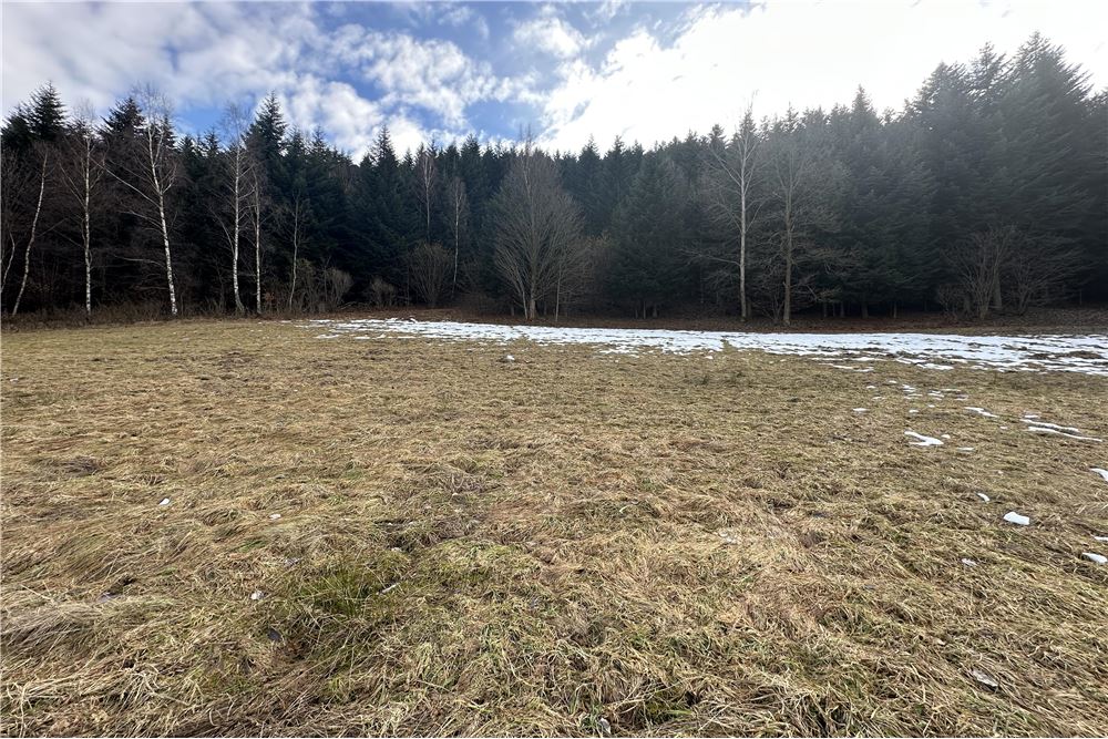 Działka budowlana - Sprzedaż - Las, Polska - 19 - 800061103-198