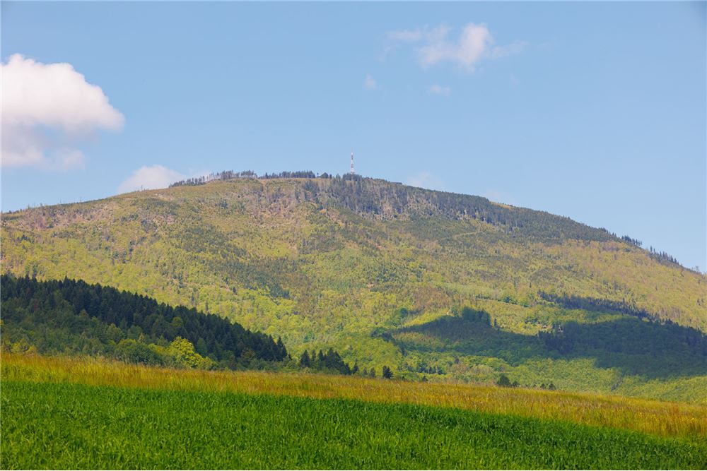 Działka budowlana - Sprzedaż - Lipowa, Polska - 6 - 800061107-97