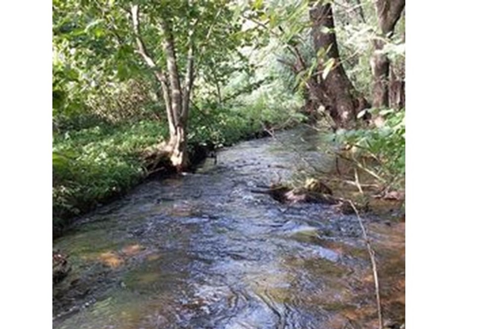 Działka - Sprzedaż - Kęty, Polska - kety rzeka 1.jpg - 470131109-33