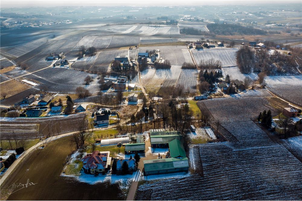 Dom wolnostojący - Sprzedaż - Siedliska-Kolonia, Polska - 9 - 800241032-63