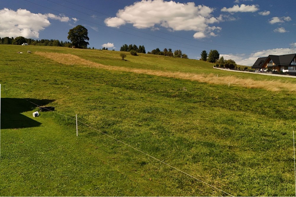 Działka budowlana - Sprzedaż - Biały Dunajec, Polska - KRAJOWE 3.jpg - 470151042-11