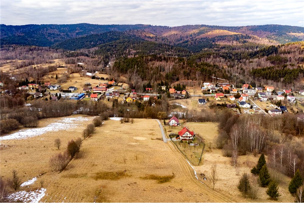 Działka budowlana - Sprzedaż - Las, Polska - 23 - 800061103-198