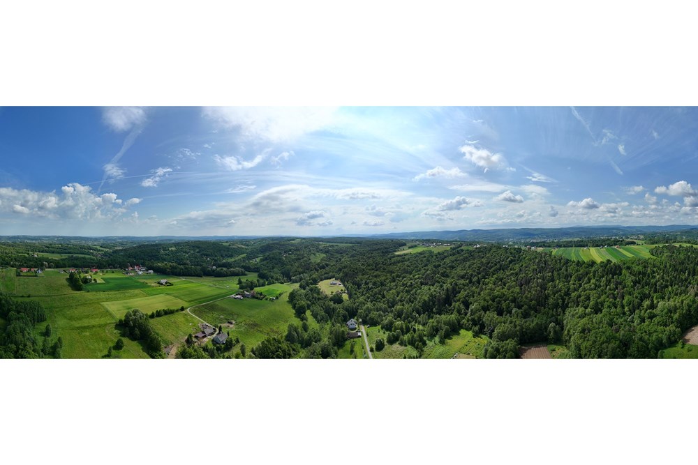 Dom jednorodzinny - Sprzedaż - Borówna, Polska - PANORAMA.jpg - 800241049-9