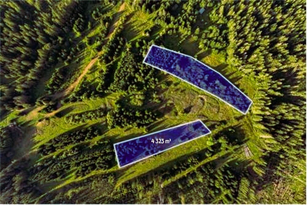 Działka - Sprzedaż - Dzianisz, Polska - D5 SS.jpg - 470151050-8