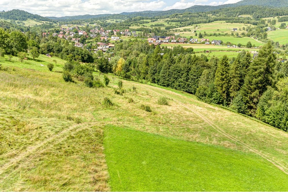 Działka - Sprzedaż - Krośnica, Polska - 0027_pajerski-dzialka-krosnica.jpg - 470131113-349