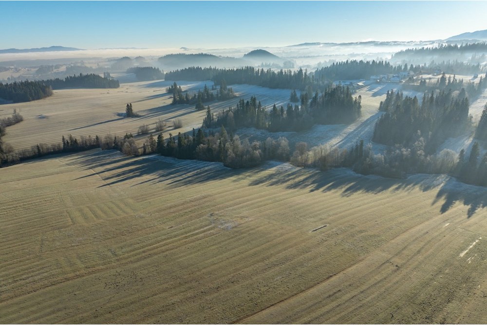 Działka - Sprzedaż - Maruszyna, Polska - 20251119-DJI_0473-HDR.jpg - 800091009-306