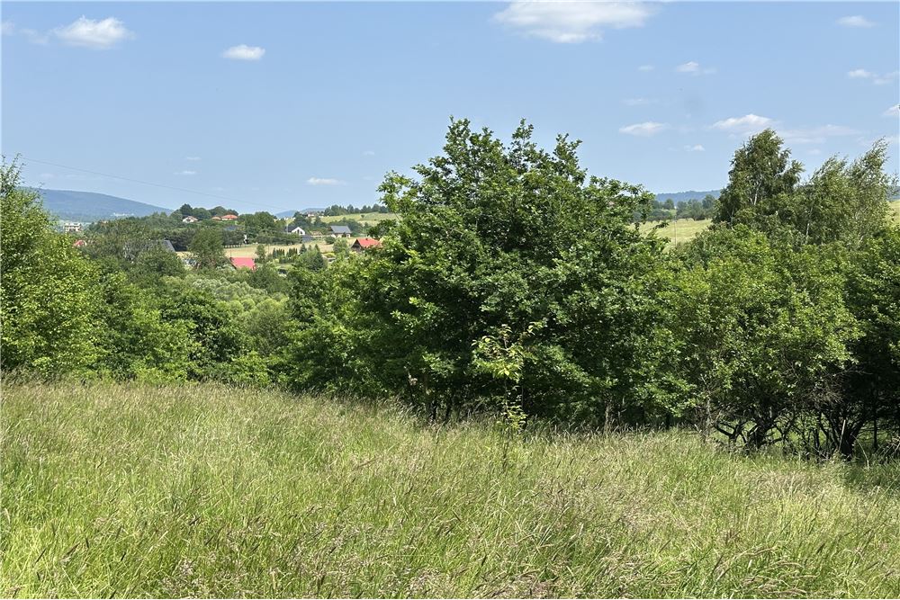 Działka budowlana - Sprzedaż - Rychwałd, Polska - 82 - 800061103-169