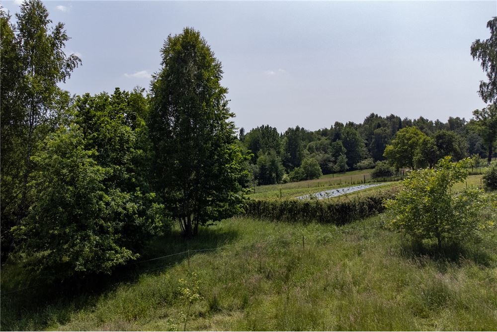 Działka budowlana - Sprzedaż - Rychwałd, Polska - 55 - 800061103-169