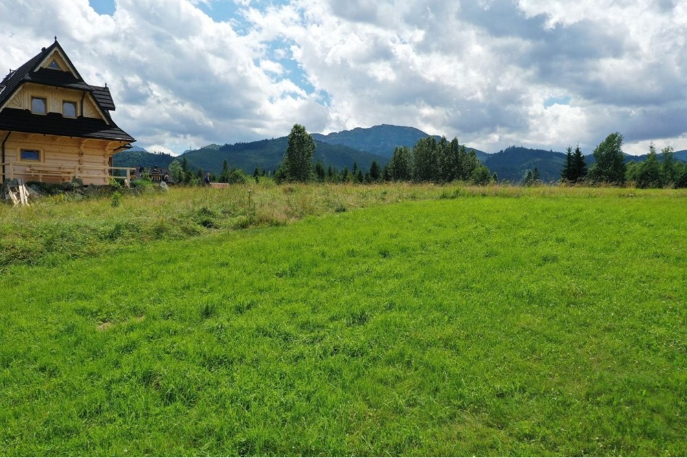 Działka budowlana - Sprzedaż - Witów, Polska - 19.jpg - 470151015-493