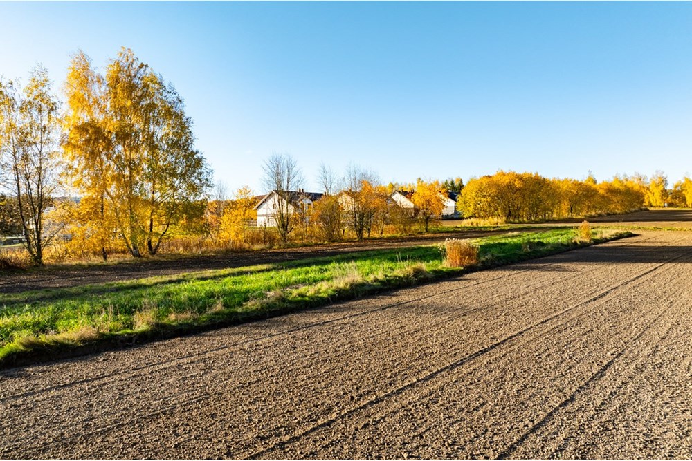 Działka budowlana - Sprzedaż - Trąbki, Polska - 20251031-DJI_0995-HDR.jpg - 800241005-219