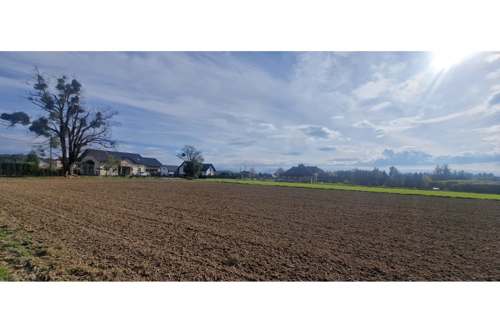 Działka - Sprzedaż - Pruchna, Polska - WhatsApp Image 2025-10-23 at 11.59.46 (2).jpeg - 470131058-381