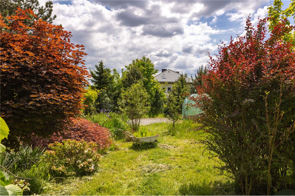 Dom wolnostojący - Sprzedaż - Hecznarowice, Polska - 8 - 800061107-98