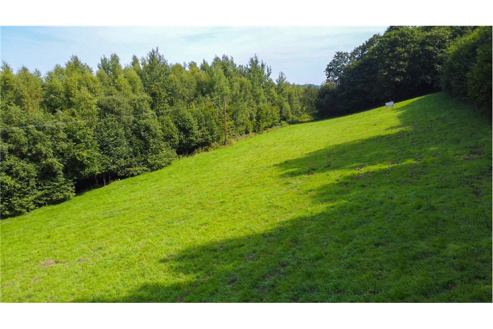 Działka - Sprzedaż - Tarnawa Dolna, Polska - 61 - 800061116-22