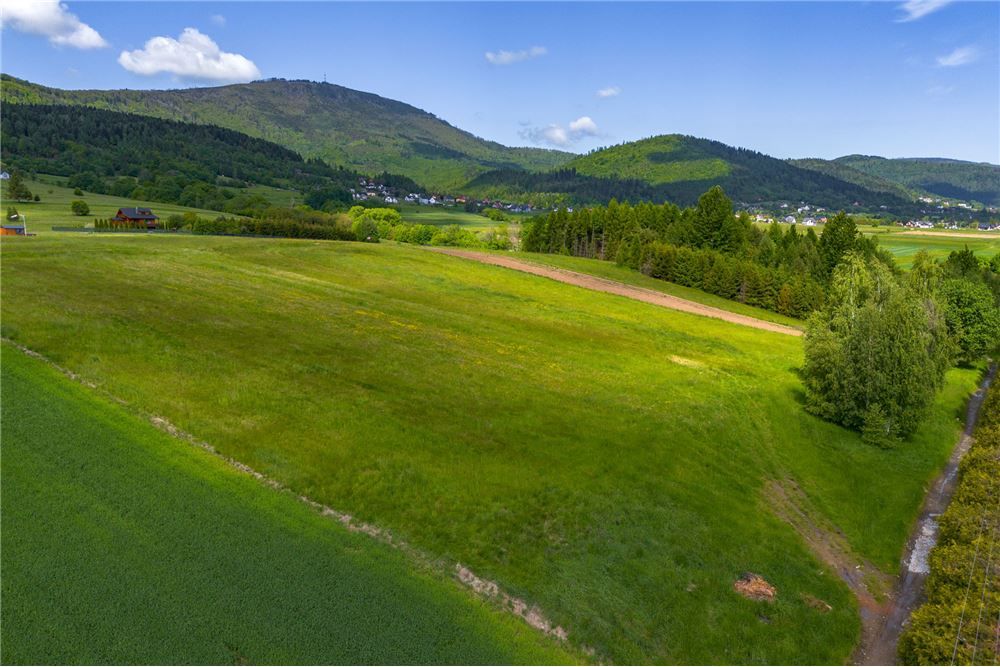 Działka budowlana - Sprzedaż - Lipowa, Polska - 5 - 800061107-97