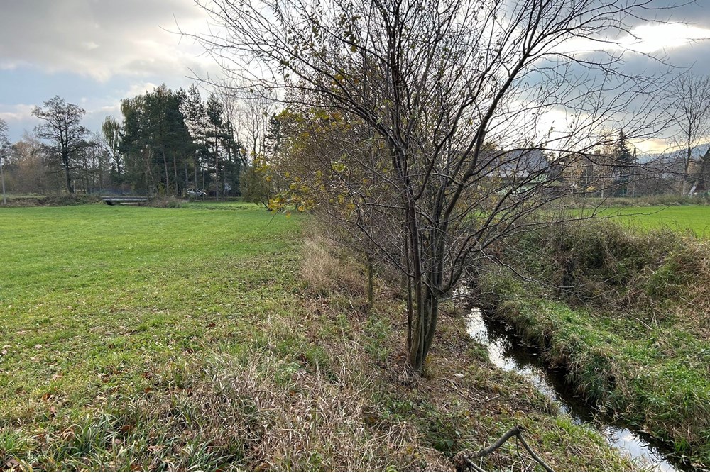 Działka budowlana - Sprzedaż - Kozakowice Górne, Polska - 1000047728.jpg - 800061030-126