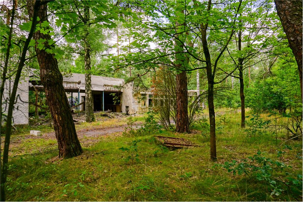 Nieruchomość inwestycyjna - Sprzedaż - Osiedle Wilga, Polska - 7 - 810141002-647