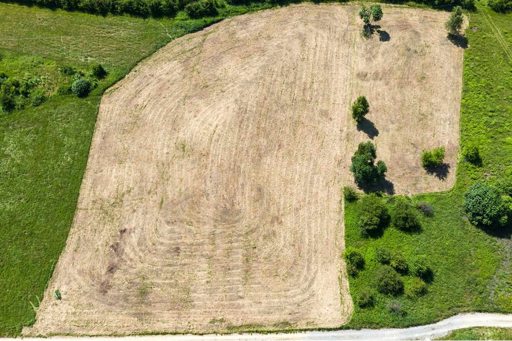 Działka budowlana - Sprzedaż - Kraków, Polska - dzialka-29.jpg - 800241049-11