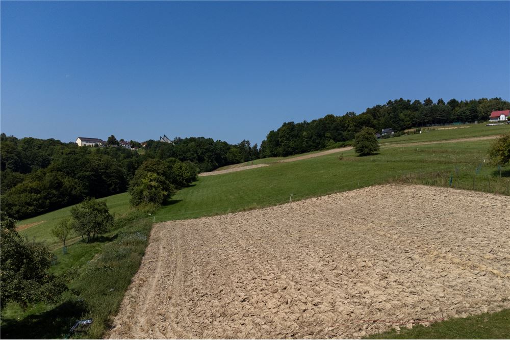 Działka - Sprzedaż - Młynne, Polska - 13 - 800061103-179