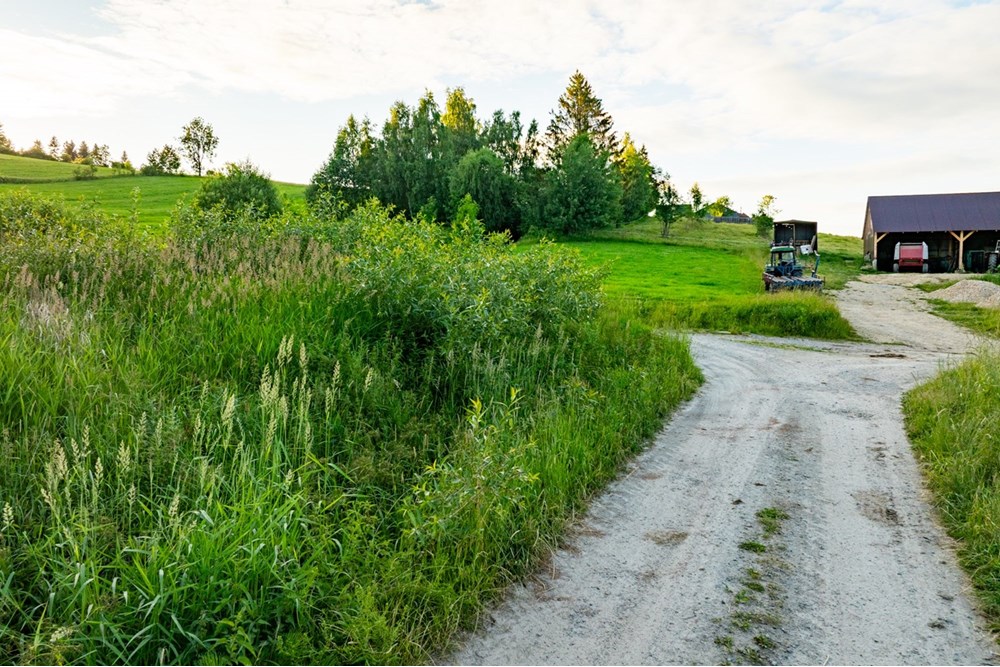 Działka budowlana - Sprzedaż - Pieniążkowice, Polska - DJI_0574-HDR-24.jpg - 800091045-36