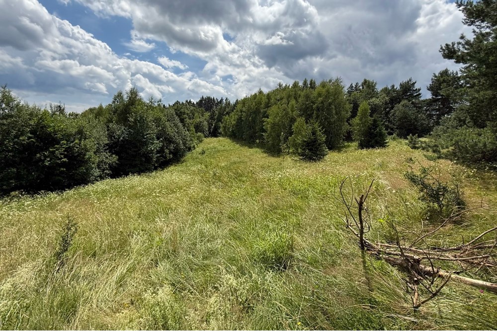 Nieruchomość gruntowa - Sprzedaż - Ochotnica Dolna, Polska - IMG_0133.jpg - 800091057-4