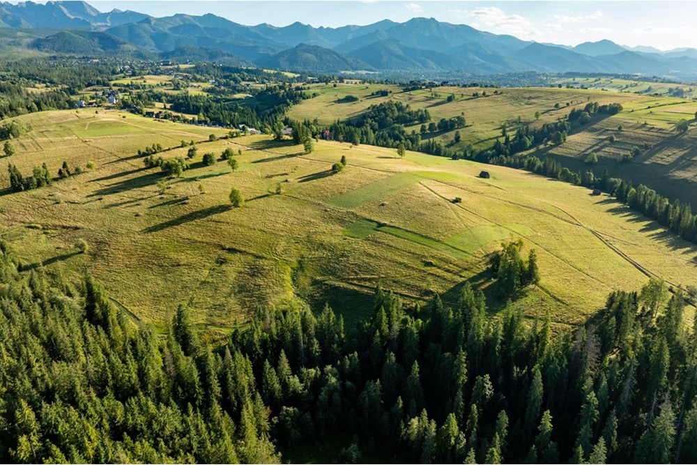 Działka - Sprzedaż - Zakopane, Polska - 20250826-DJI_0058-HDR.jpg - 470151024-450