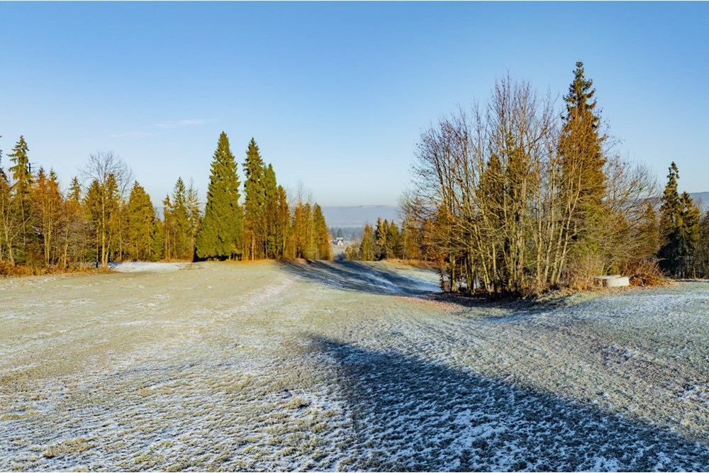 Działka - Sprzedaż - Maruszyna, Polska - 20251119-DJI_0428-HDR.jpg - 800091009-306