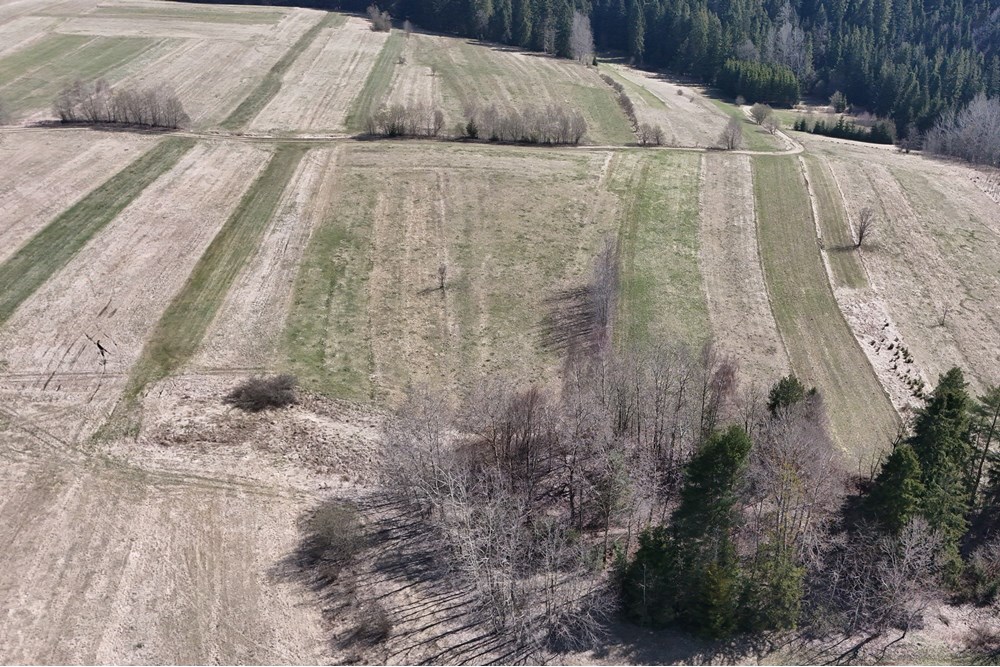 Działka - Sprzedaż - Odrowąż, Polska - DJI_20250404110656_0798_D.JPG - 800091055-1