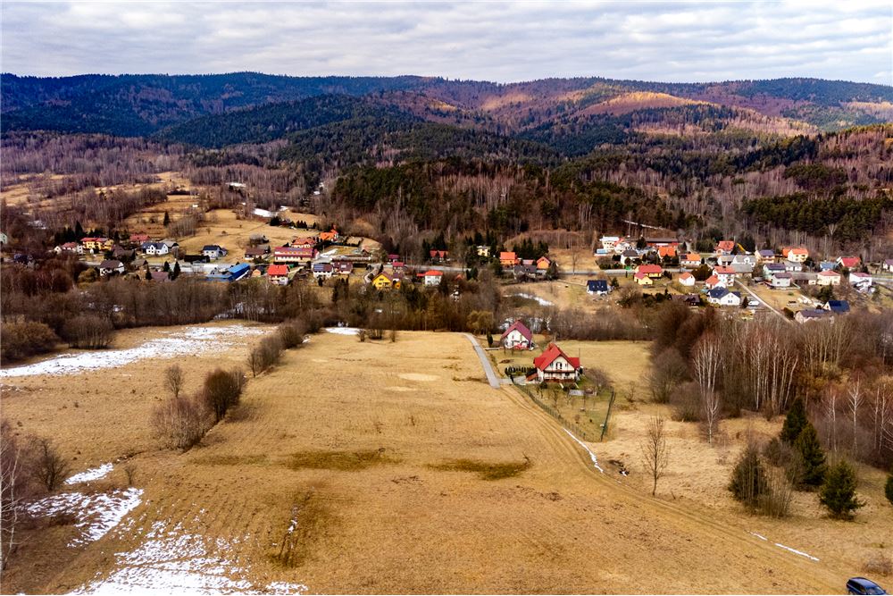 Działka budowlana - Sprzedaż - Las, Polska - 11 - 800061103-198
