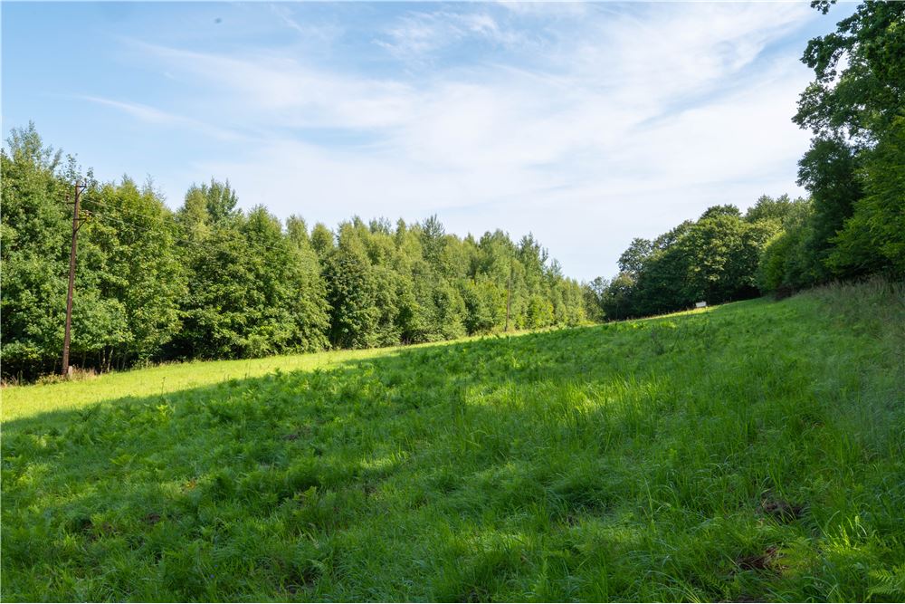 Działka - Sprzedaż - Tarnawa Dolna, Polska - 49 - 800061116-22