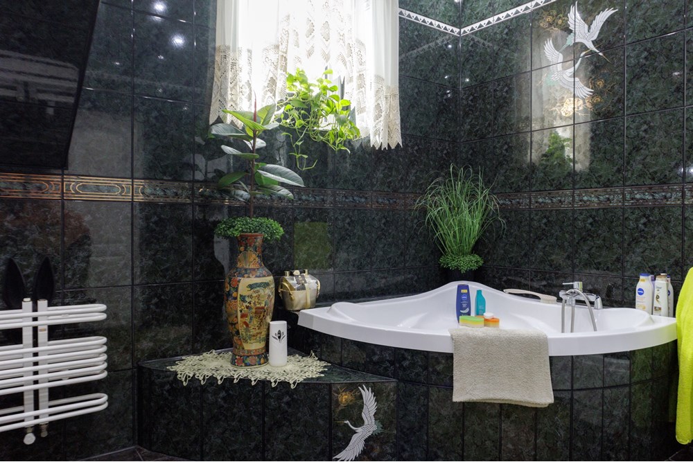 Budynek - Sprzedaż - Czechowice-Dziedzice, Polska - IMG_1399.jpg - 800061103-190