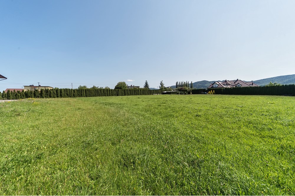 Hala - Sprzedaż - Czaniec, Polska - CG15_043D.jpg - 800061100-89