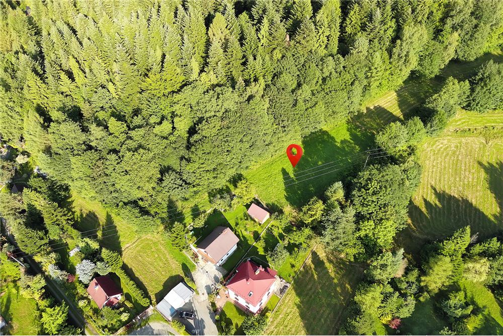 Działka - Sprzedaż - Godziszka, Polska - 12 - 800061116-19