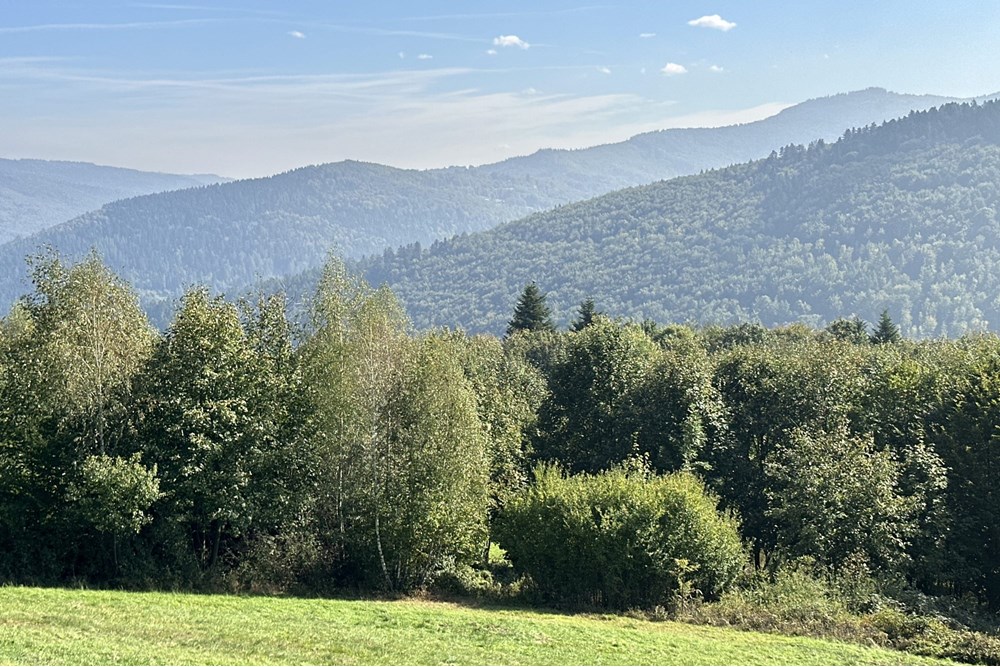 Działka budowlana - Sprzedaż - Międzybrodzie Bialskie, Polska - IMG_1834.jpg - 800061103-193