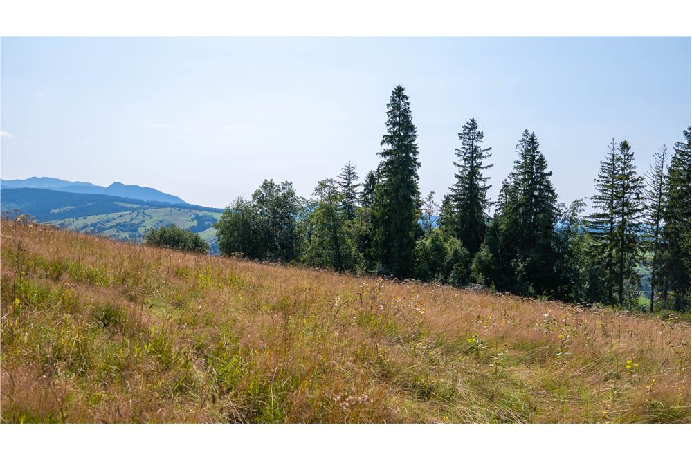 Nieruchomość gruntowa - Sprzedaż - Dzianisz, Polska - 50 - 800061116-23