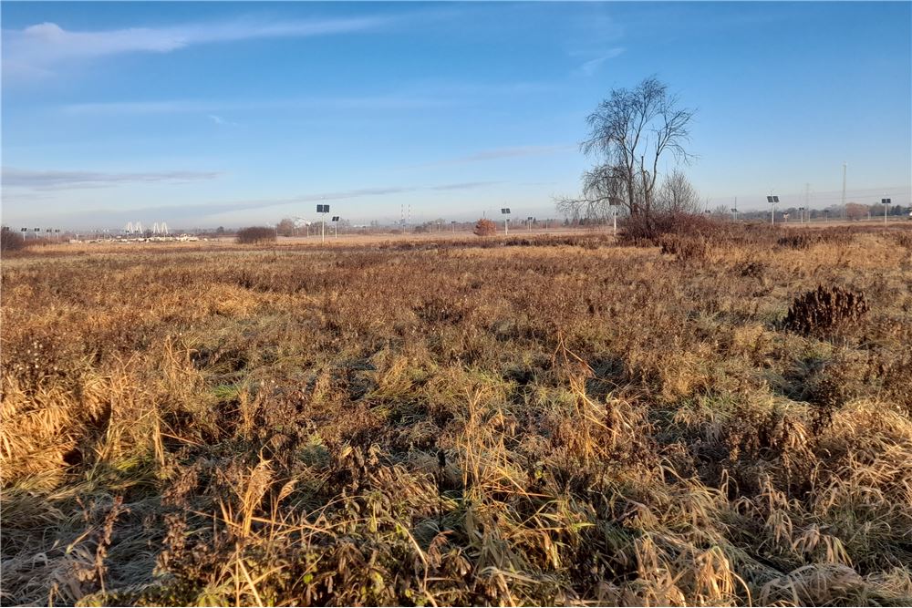 Działka - Sprzedaż - Brzegi, Polska - 5 - 800241031-31