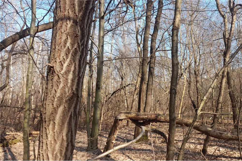 Działka - Sprzedaż - Kraków, Polska - 21 - 800241031-34