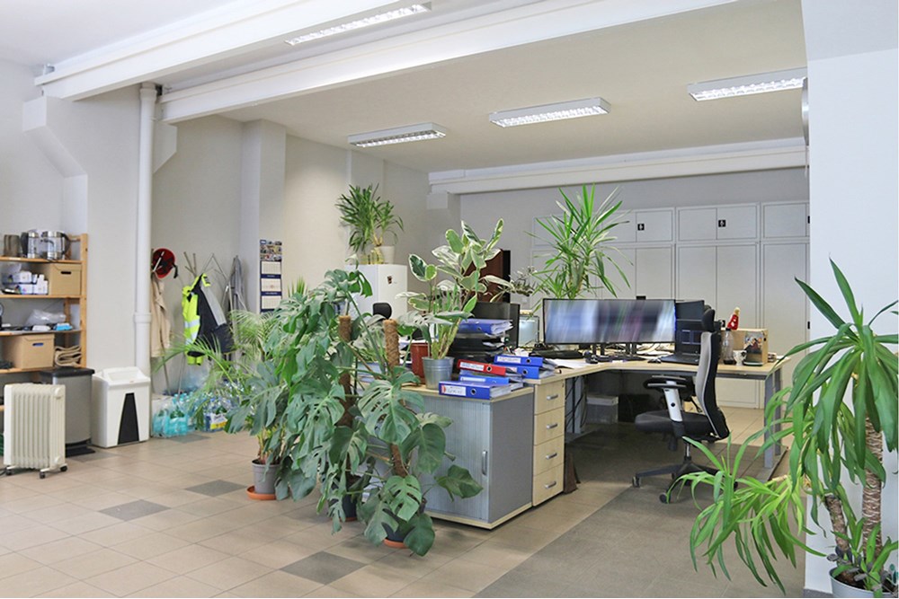 Nieruchomość przemysłowa - Sprzedaż - Bytom, Polska - Bytom Budynek i działka (5).JPG - 800041074-12