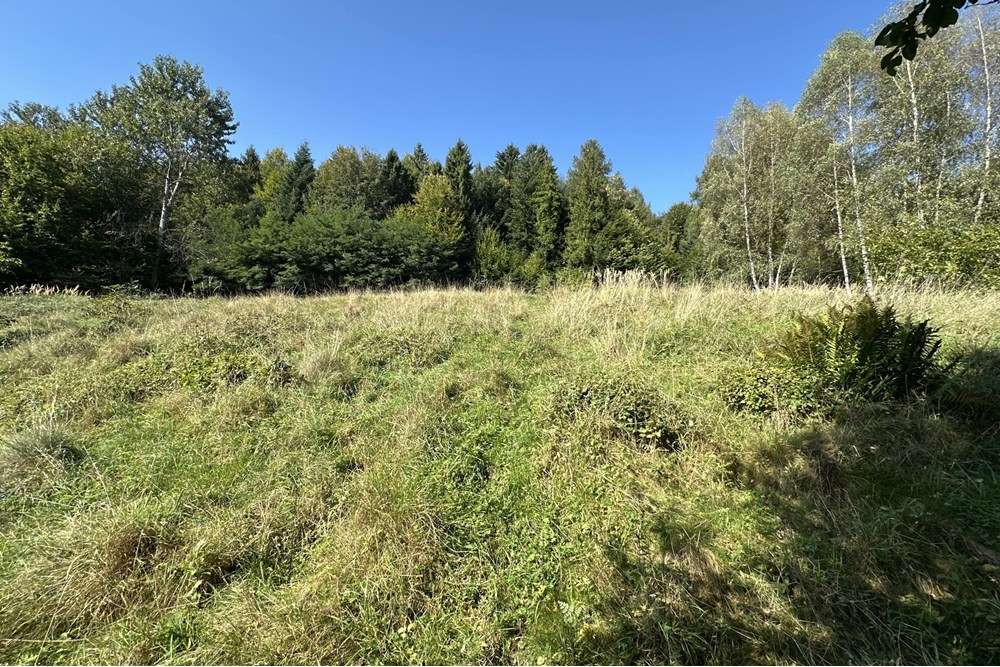 Działka budowlana - Sprzedaż - Międzybrodzie Bialskie, Polska - IMG_1829.jpg - 800061103-193